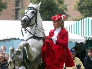  Espectáculo ecuestre